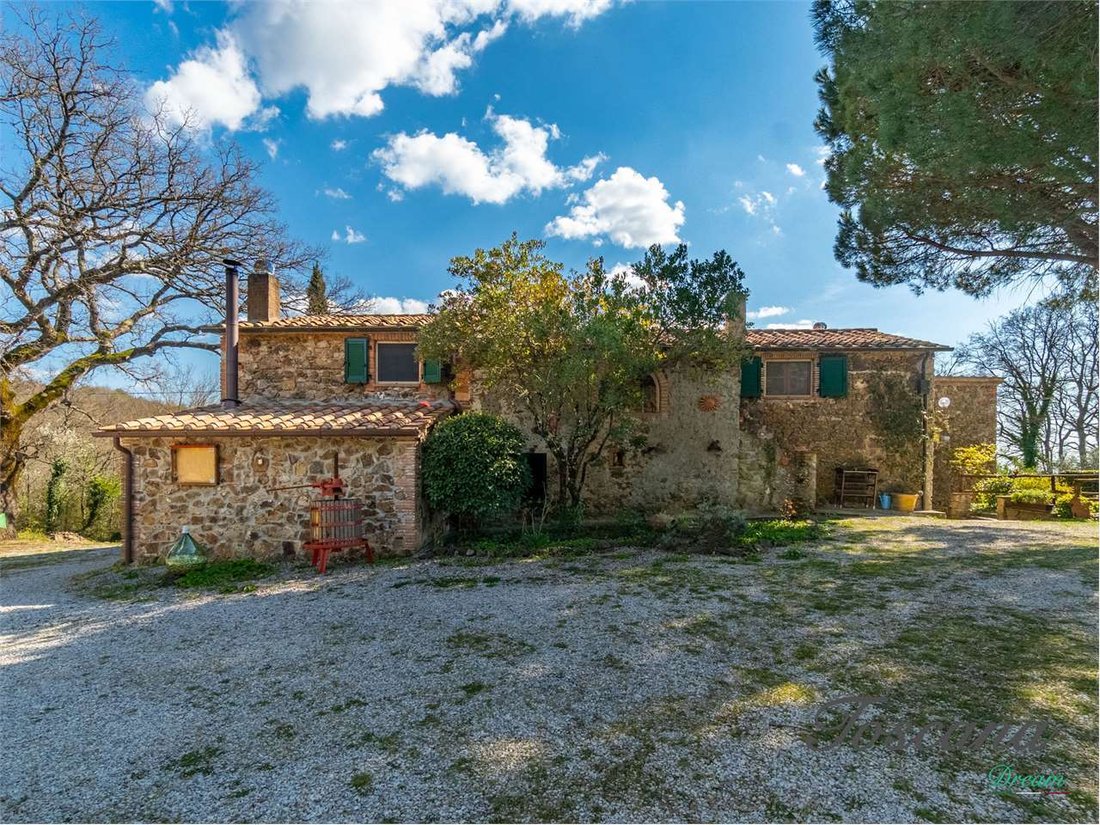 Estate in Massa Marittima, Tuscany, Italy 5 - 18601175