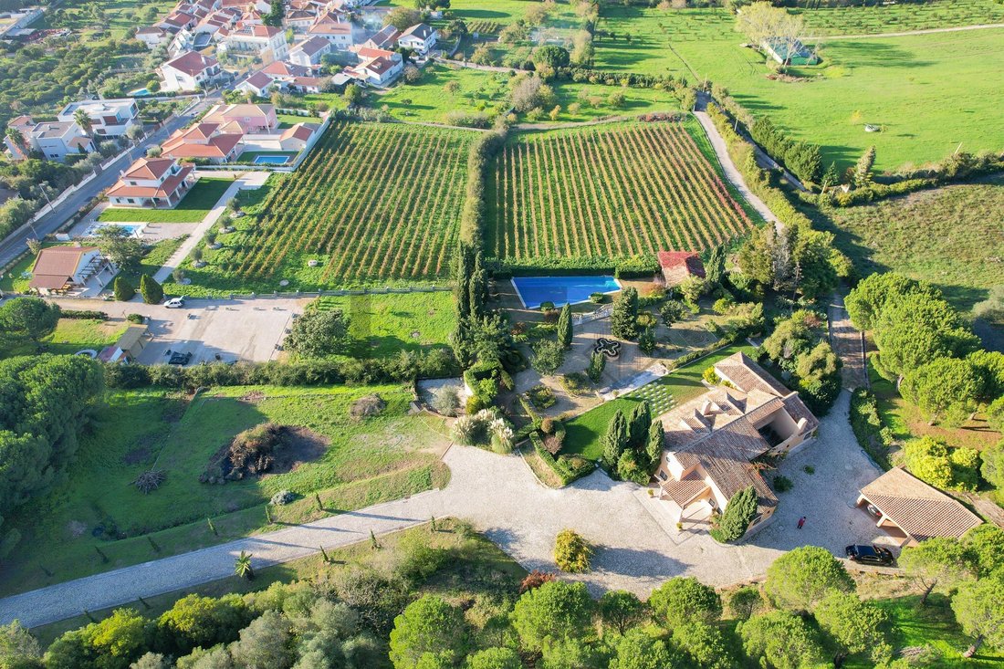 Finca à Azeitao (Sao Lourenco et Sao Simao), Setúbal Municipality, Portugal 1 - 18598569