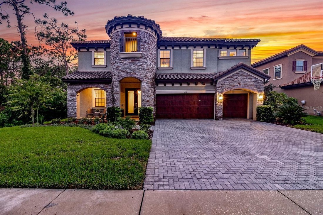 House in Odessa, Florida, United States 1 - 18601292
