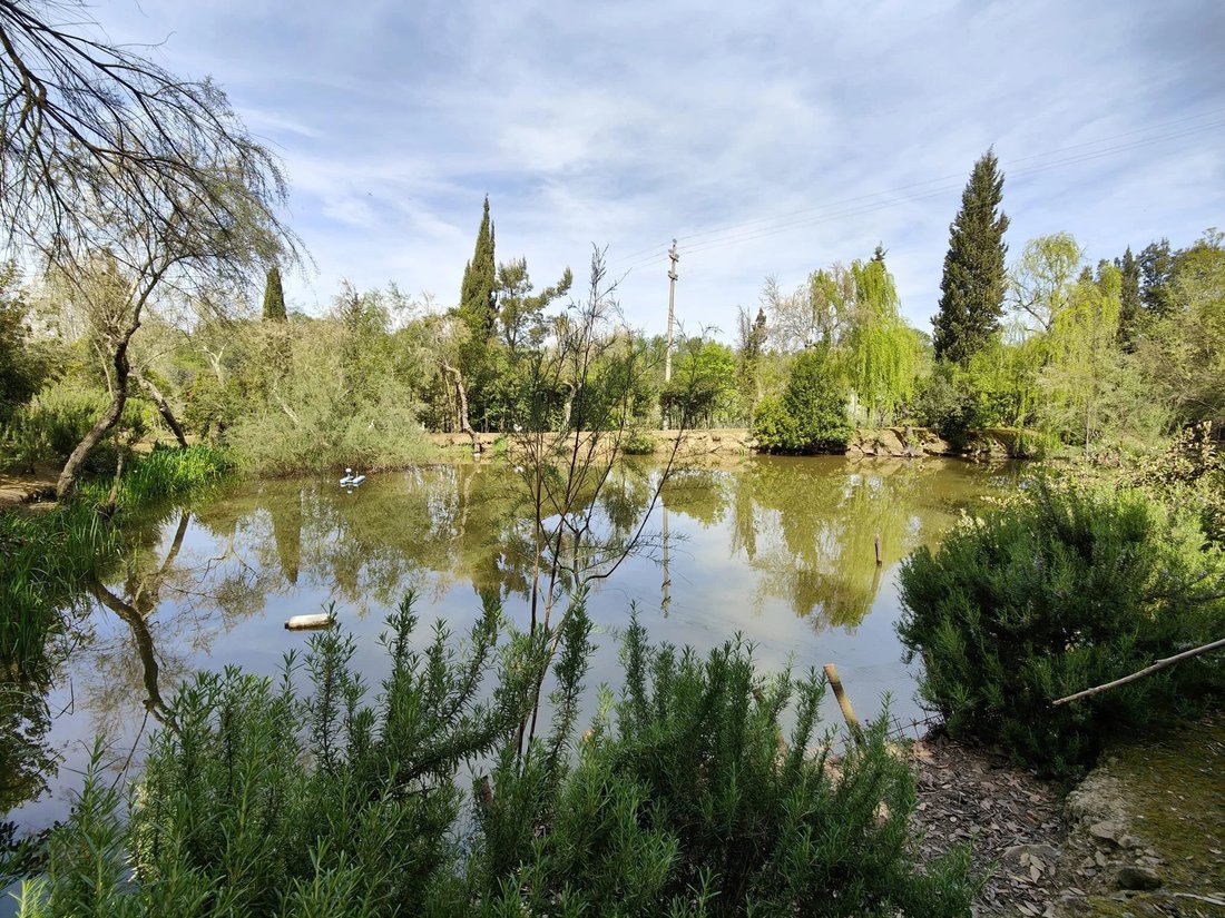 Villa in Center, Cerreto Guidi, Tuscany 2 - 18598333