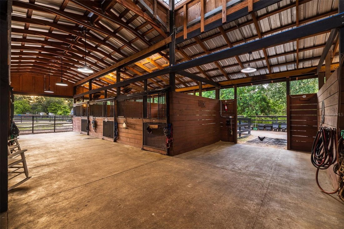 House in Pinellas Park, Florida, United States 4 - 18601213