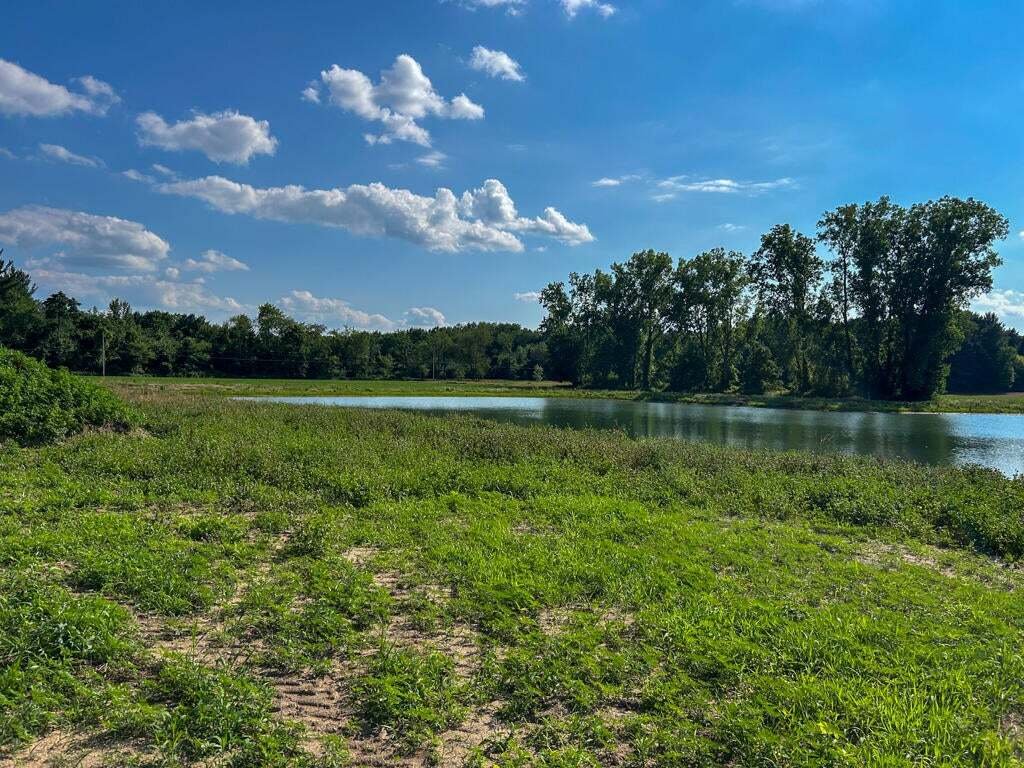 House in Allendale Charter Township, Michigan, United States 4 - 18600194