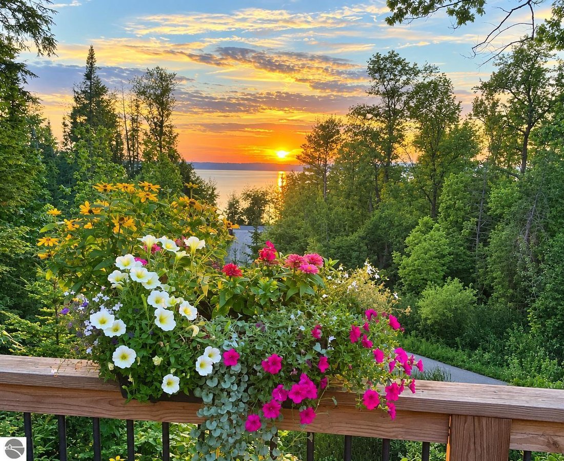 House in Traverse City, Michigan, United States 1 - 18603758