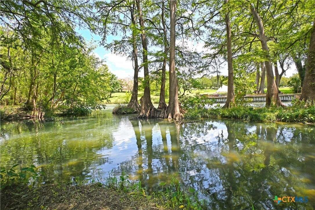 House in New Braunfels, Texas, United States 4 - 18596684