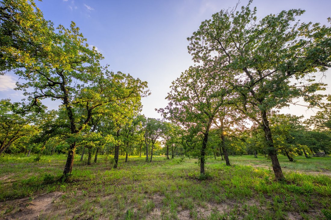 Farm Ranch in Lipan, Texas, United States 5 - 18600850