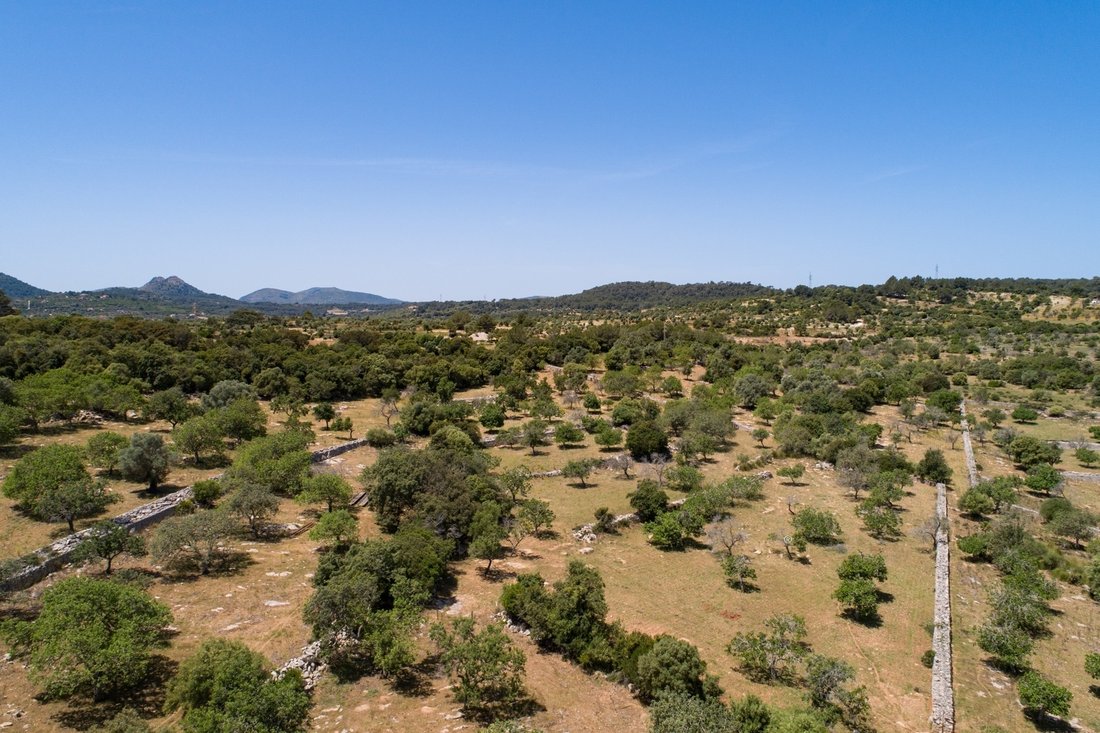 Land in Artà, Balearische Inseln, Spanien 3 - 18596324