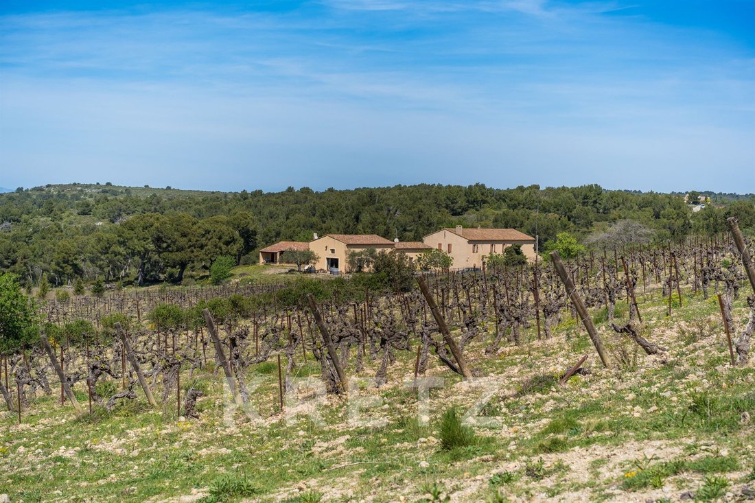 Farm Ranch in Bourg-Charité, Narbonne, France 5 - 18598825