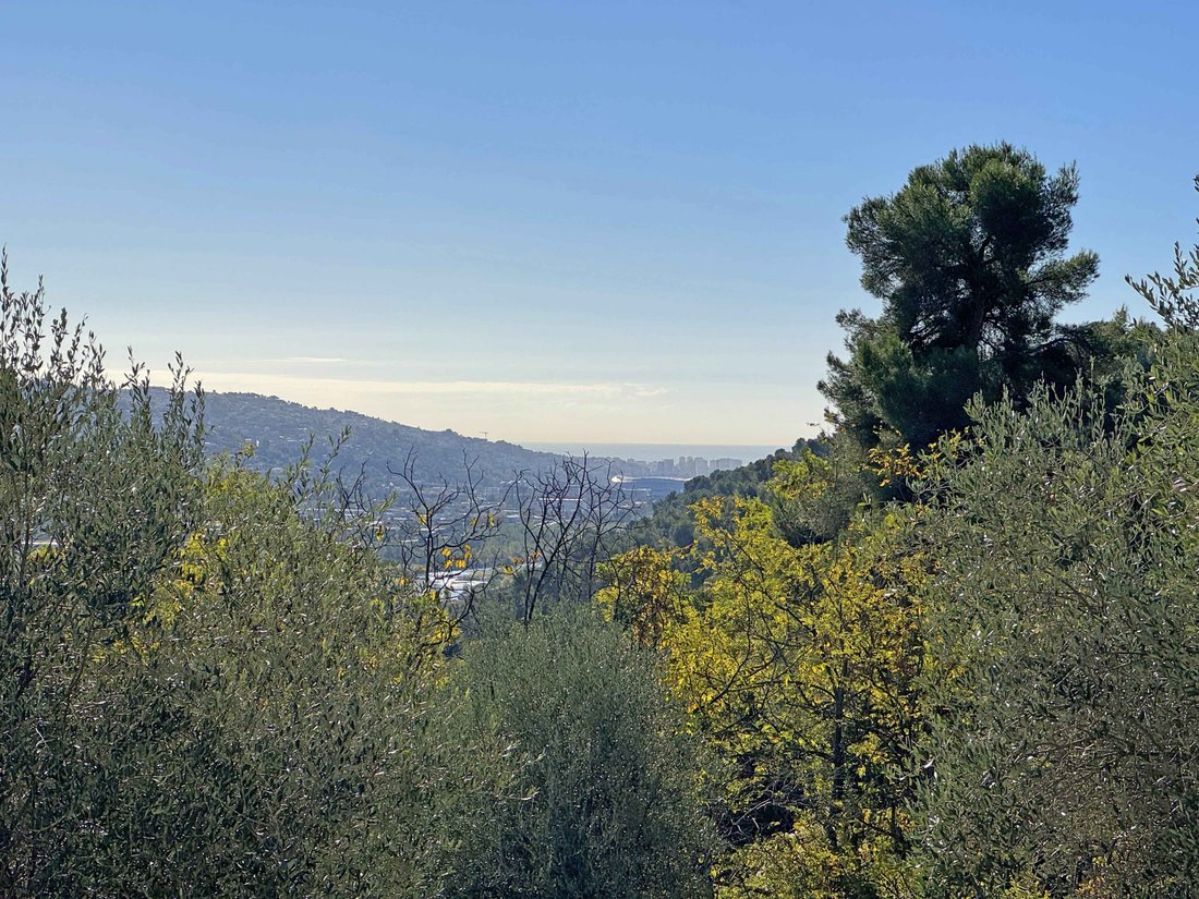 Villa in Saint-Jeannet, Provence-Alpes-Côte d'Azur, France 3 - 18597656