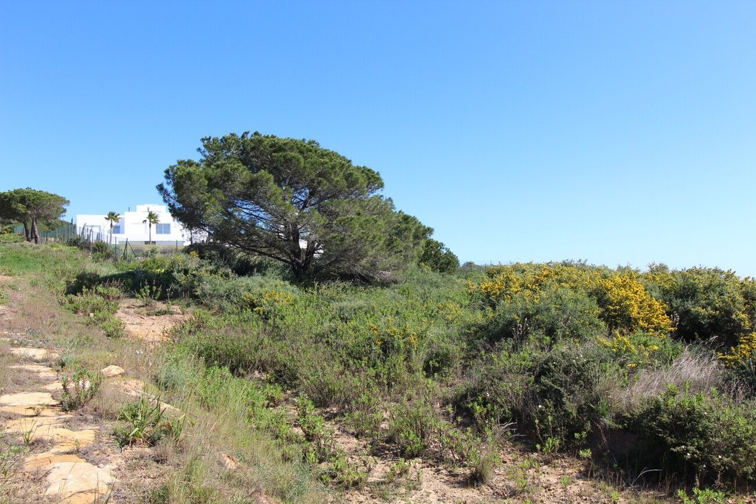 Villa in Sotogrande, San Roque, Andalusia 5 - 18600228