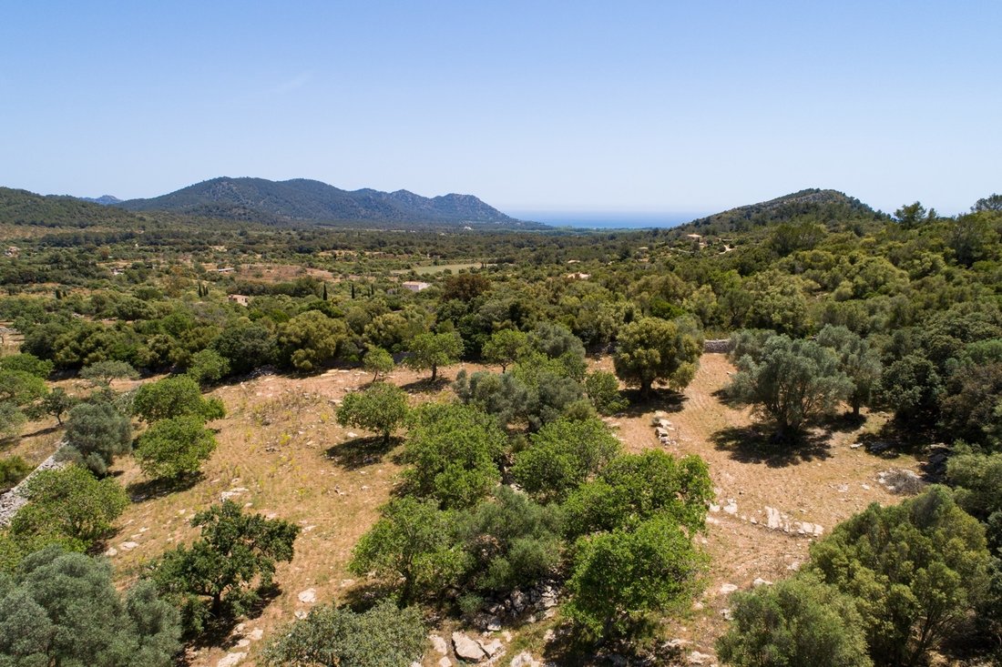 Land in Artà, Balearische Inseln, Spanien 2 - 18596324