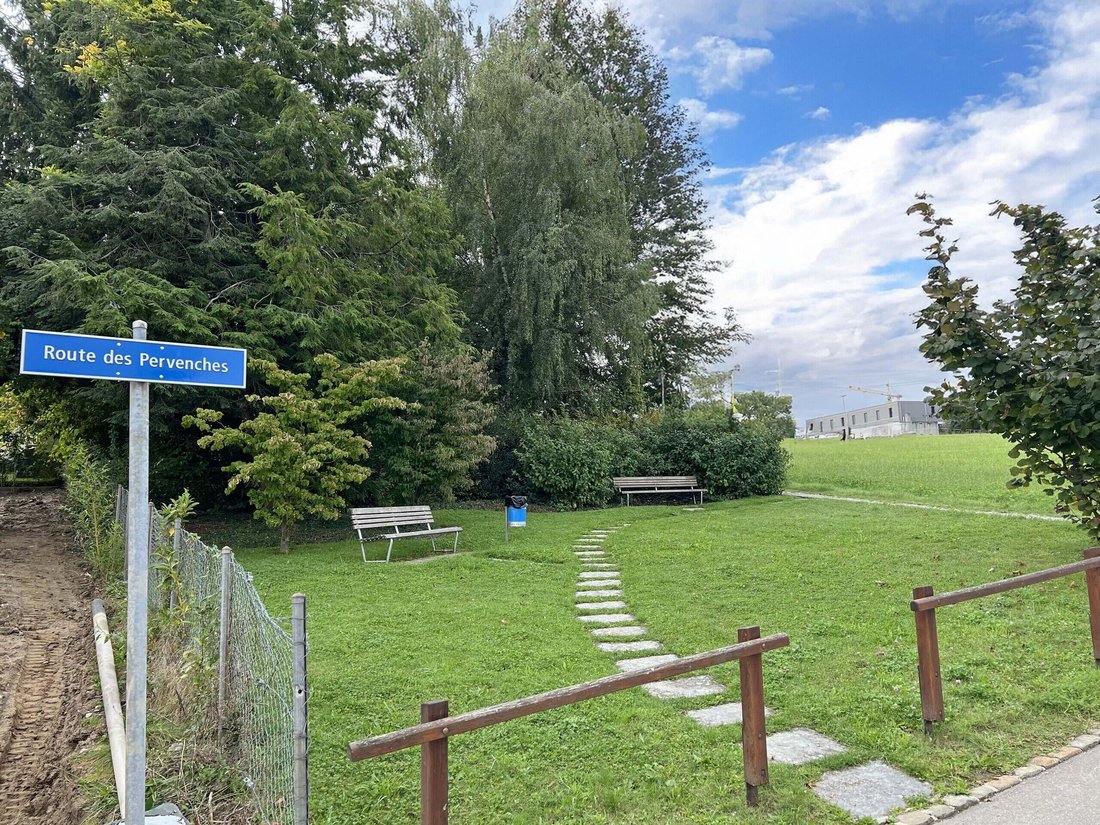 Apartment in Fribourg, Fribourg, Switzerland 5 - 18599990