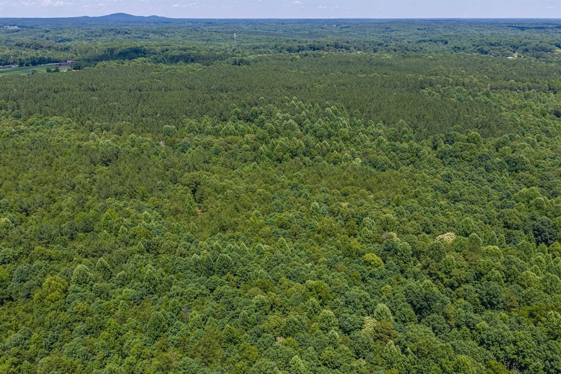 Land in Pine Mountain, Georgia, United States 1 - 18603561