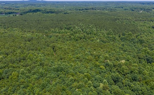 Land in Pine Mountain, Georgia, United States 1