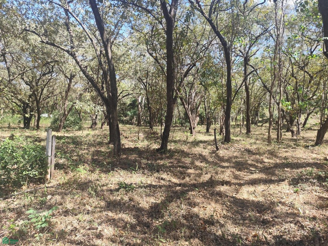 Land in Pinilla, Guanacaste Province, Costa Rica 1 - 17814303