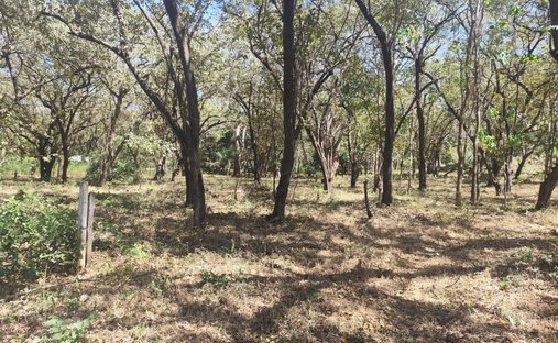 Land in Pinilla, Guanacaste Province, Costa Rica 1