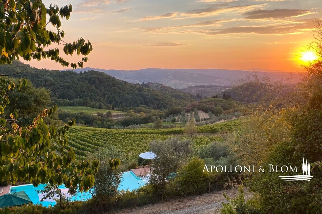 Center, Greve in Chianti, Tuscany 4 - 18601489