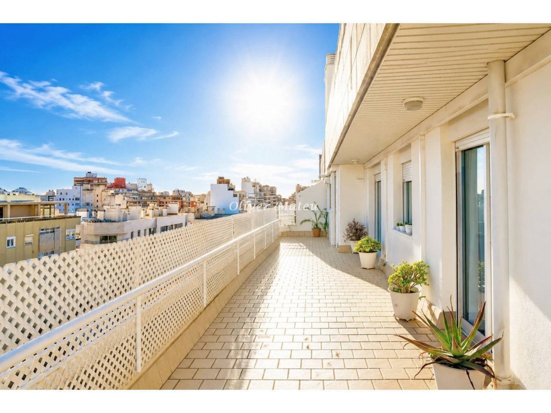Appartement à Palma, Îles Baléares, Espagne 5 - 18193922