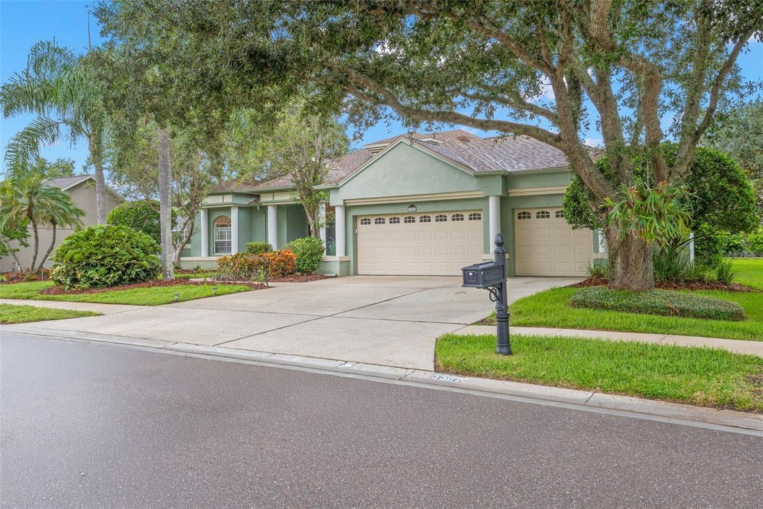 House in Palm Harbor, Florida, United States 3 - 18605140