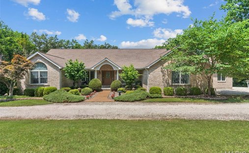 House in Villa Ridge, Missouri, United States 1