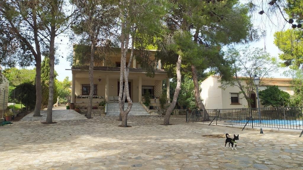 House in Torrevieja, Valencian Community, Spain 1 - 18605574