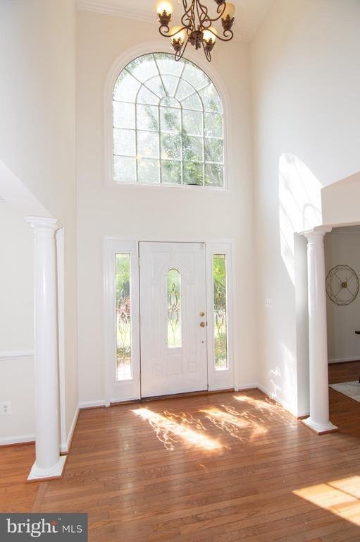 House in Manassas, Virginia, United States 4 - 18594427