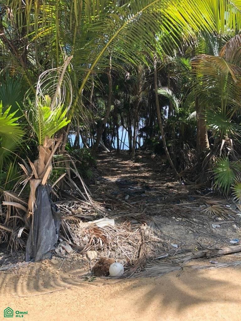 Land in Boca Paila, Quintana Roo, Mexico 1 - 17811410
