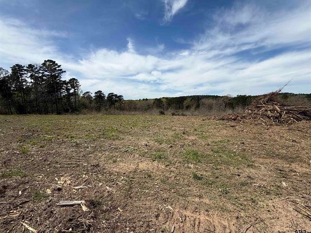 Land in Jacksonville, Texas, United States 2 - 18605880