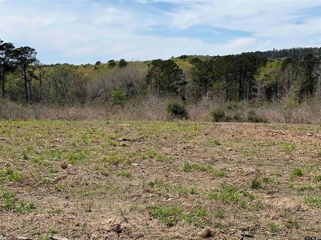 Land in Jacksonville, Texas, United States 3 - 18605880
