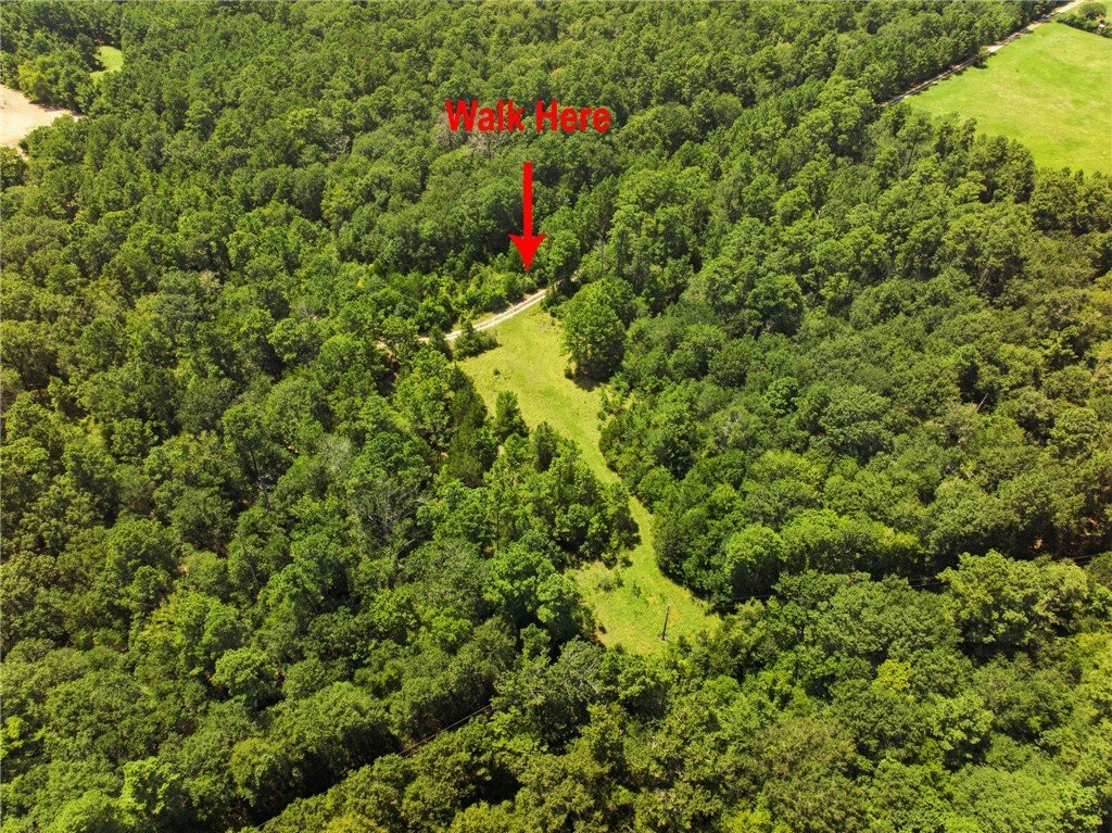 Land in Anderson, Texas, United States 5 - 18605871