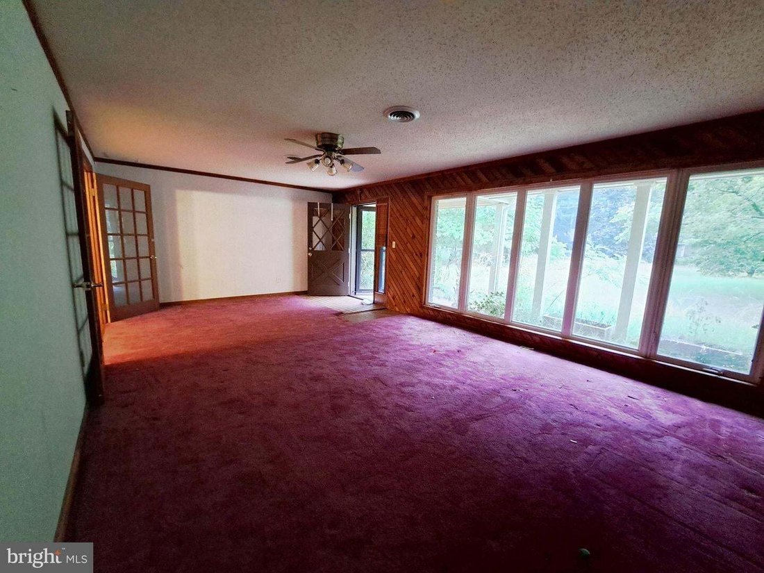 House in Salisbury, Maryland, United States 5 - 18606181