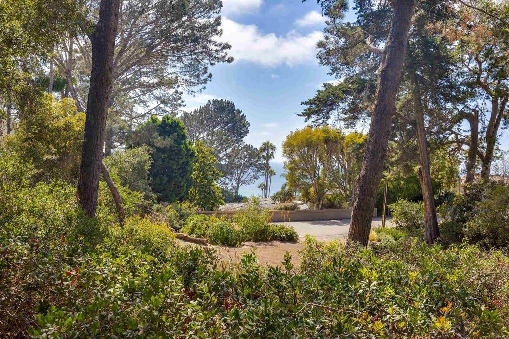 House in Del Mar, California, United States 5 - 18550721
