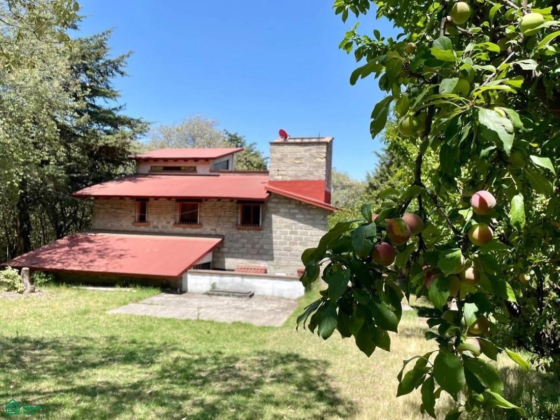 House in San Miguel Ajusco, Mexico 5 - 17233456