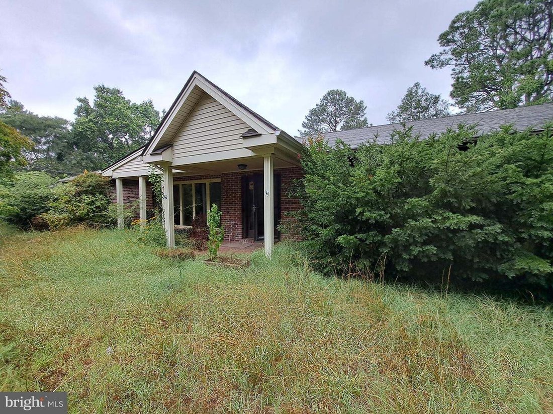House in Salisbury, Maryland, United States 1 - 18606181
