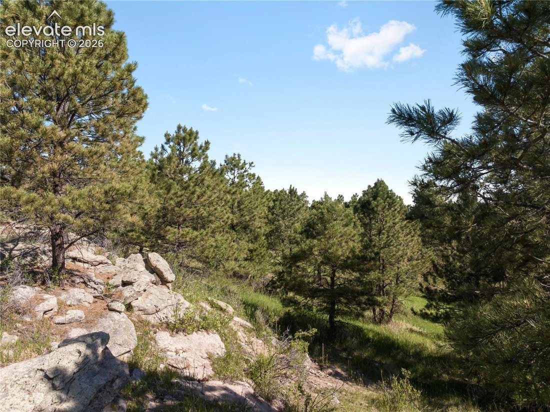 House in Elbert, Colorado, United States 5 - 18238754