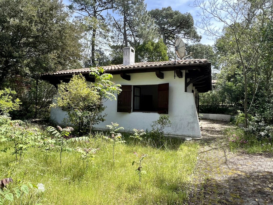House in Cazaux, La Teste-de-Buch, France 4 - 18005549