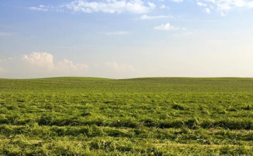 Land in Westmorland, California, United States 1