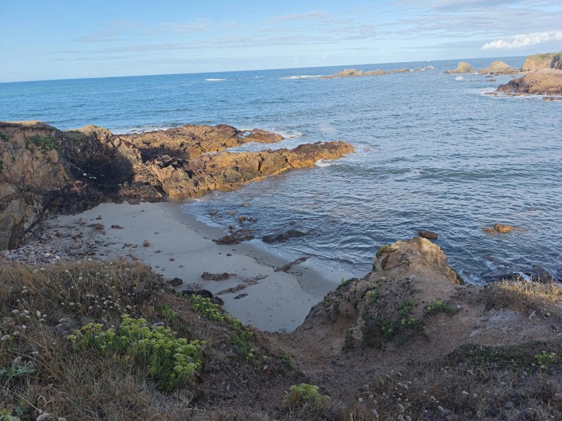 Land in Gare-Saint Michel, Les Sables-d'Olonne, France 1 - 18606543