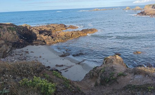 Land in Gare-Saint Michel, Les Sables-d'Olonne, France 1