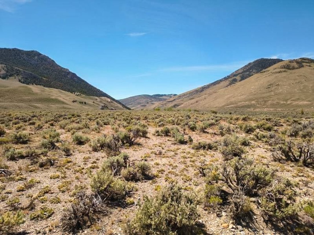 Land in Stanley, Idaho, United States 1 - 18606966
