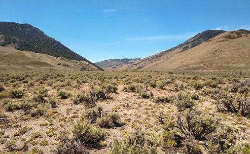 Land in Stanley, Idaho, United States 1