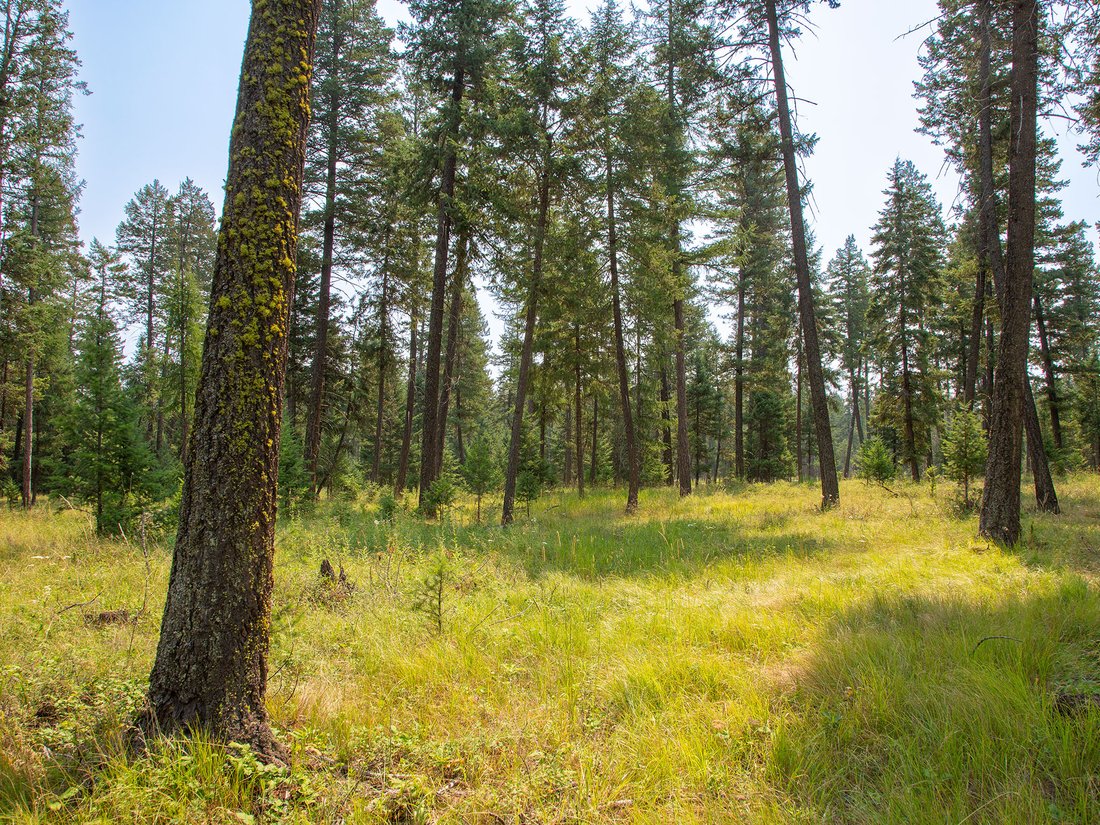 Terreno a Whitefish, Montana, Stati Uniti 3 - 18607183
