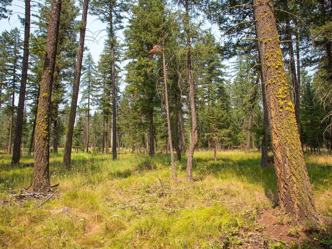 Terreno a Whitefish, Montana, Stati Uniti 1 - 18607183