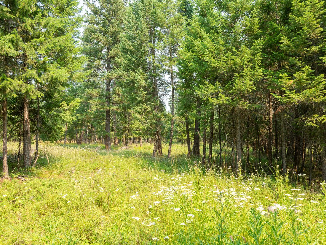 Land in Kalispell, Montana, United States 1 - 18606993