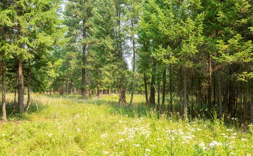 Land in Kalispell, Montana, United States 1