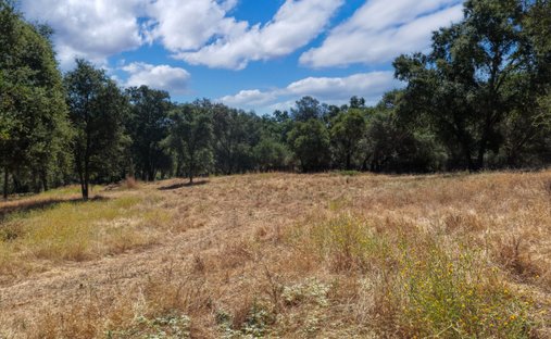 Land in Loomis, California, United States 1