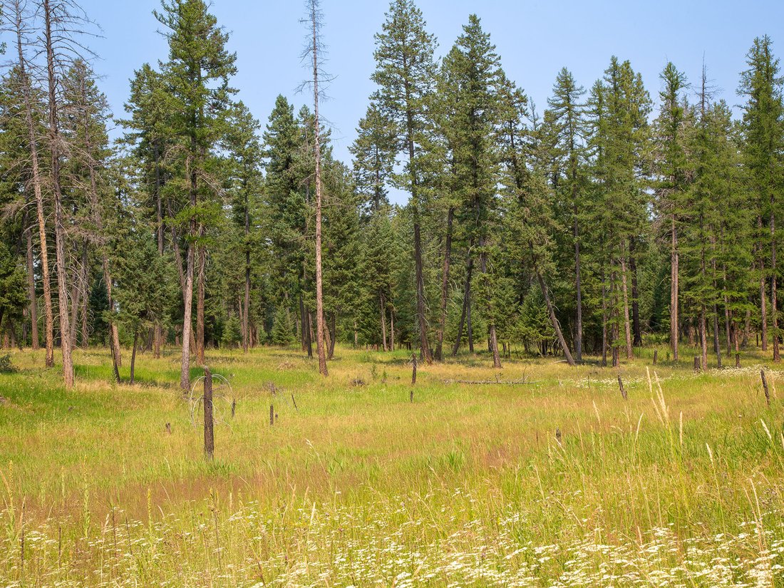 Terreno a Whitefish, Montana, Stati Uniti 4 - 18607183