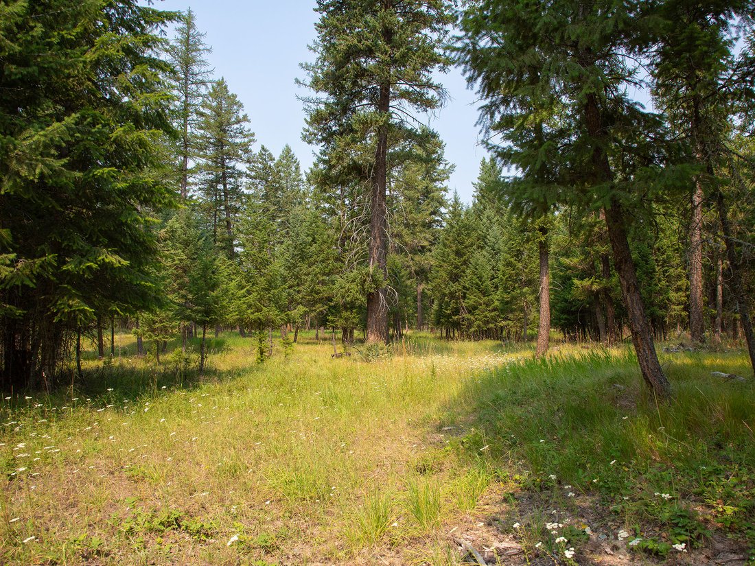 Land in Kalispell, Montana, United States 5 - 18606993