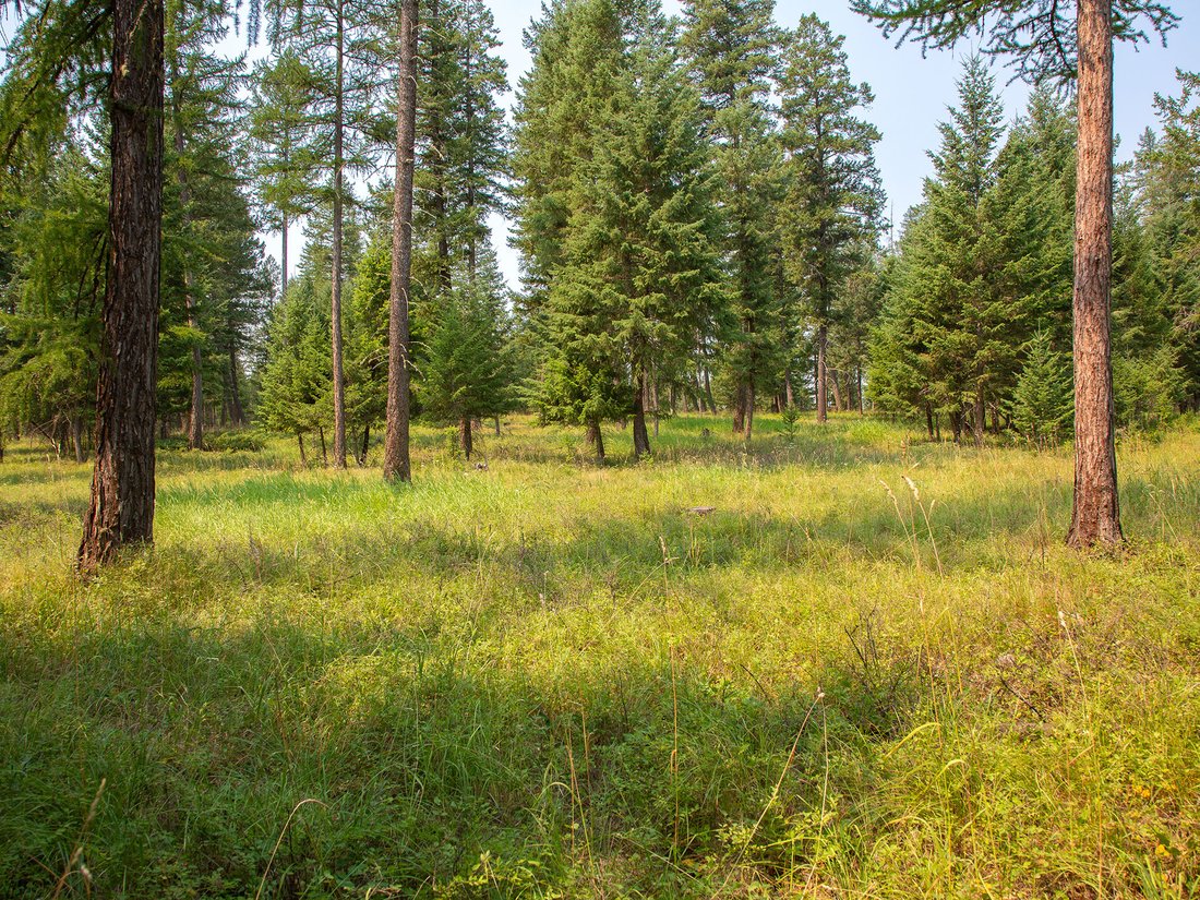 Land in Kalispell, Montana, United States 2 - 18606993