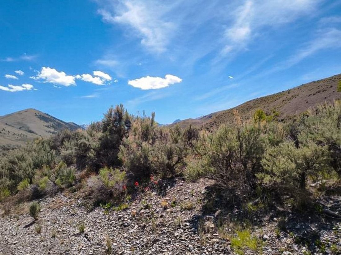 Land in Stanley, Idaho, United States 5 - 18606966