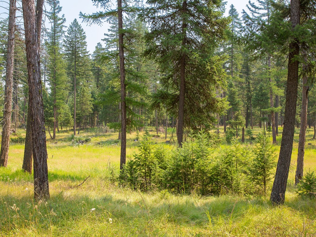 Terreno a Whitefish, Montana, Stati Uniti 2 - 18607183